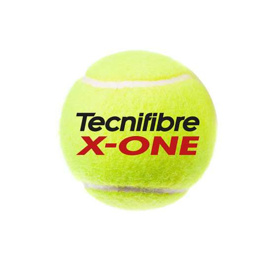 Tecnifibre Μπαλάκια Τένις Premium Competition X-One (4 Balls)